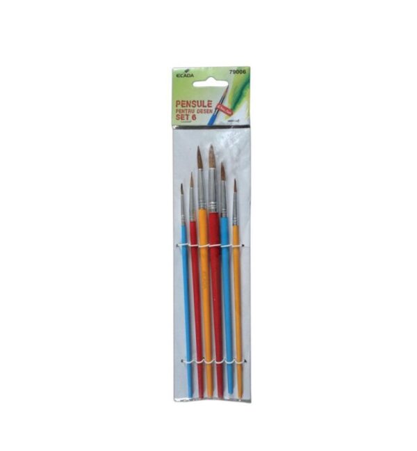 Pensule set 6 ECADA