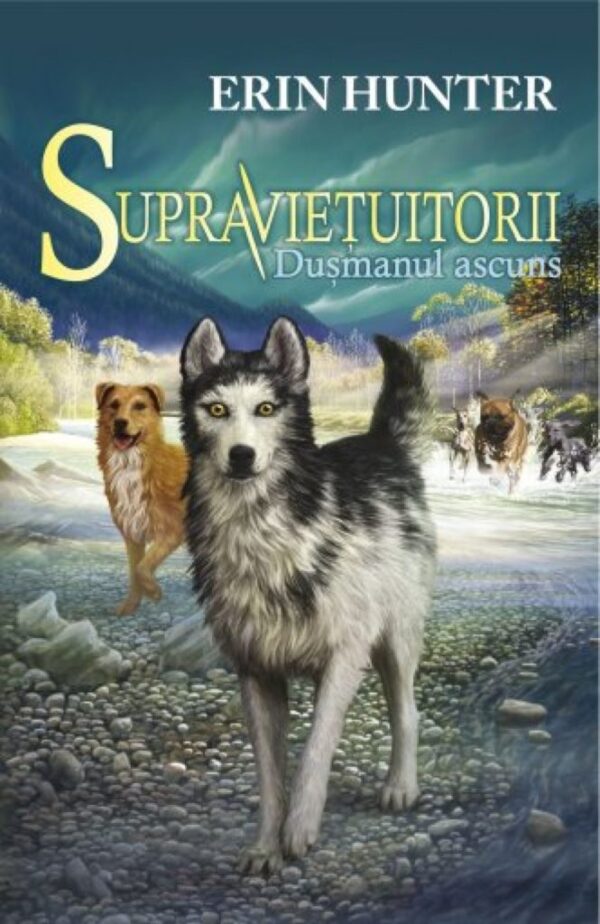Cartea 2 Supraviețuitorii. Dușmanul ascuns