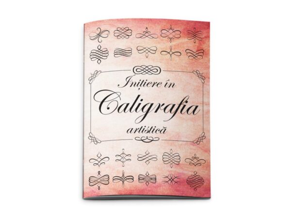 Copy Custom Dimensions 1436x1080 Px 48 1024x770