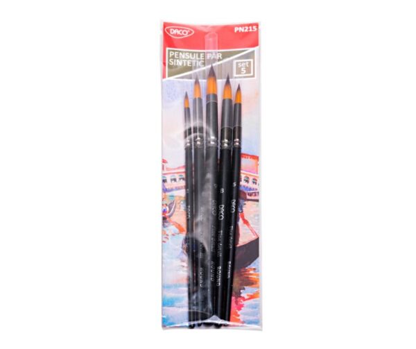 Pensule set 5 păr sintetic vârf rotund