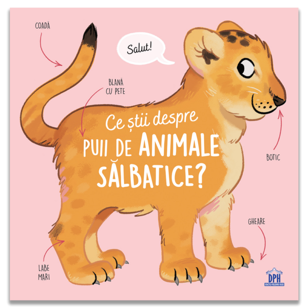 Ce Stii Despre Puii De Animale Salbatice 14261 1 17376348800384