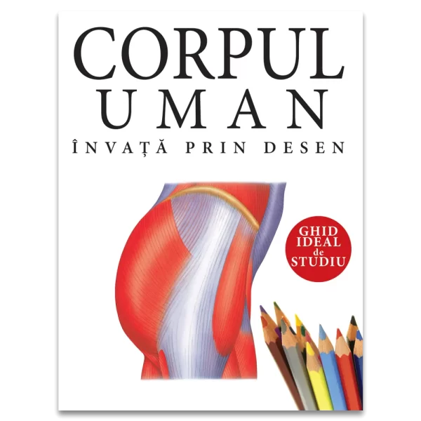 Corpul uman. Învață prin desen