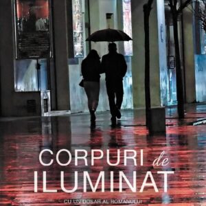 Corpuri De Iluminat 01