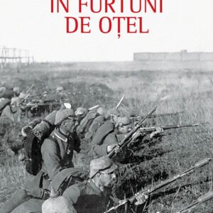 Cover In Furtuni De Otel Ed2 C1