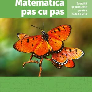 Matematica Pas Cu Pas Culegere Clasa 6 Camelia Neta Editura Corint Educational 01 1