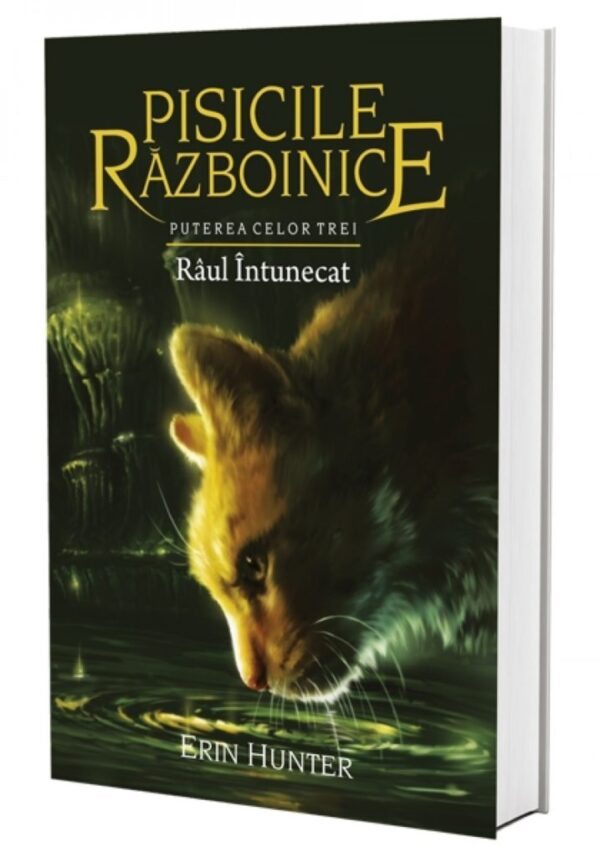 Cartea 14 Pisicile Războinice. Râul întunecat