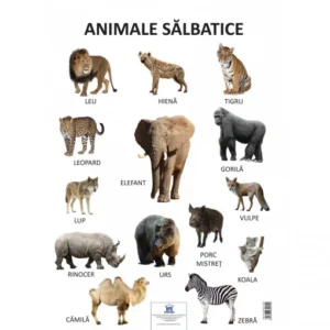 Plansa Animale Salbatice~77471